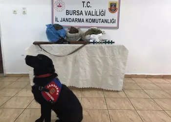 Bursa Yenişehir’de uyuşturucu operasyonu