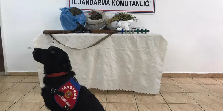 Bursa Yenişehir’de uyuşturucu operasyonu