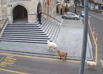 Şaşırtan anlar! Belediyeye girmeye çalıştılar