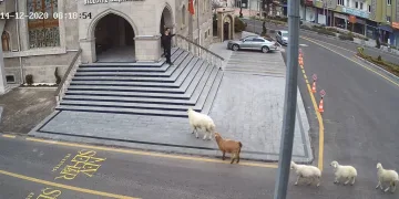 Şaşırtan anlar! Belediyeye girmeye çalıştılar