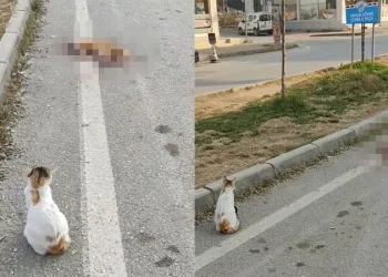 Bursa… Yanından bir an olsun ayrılmadı