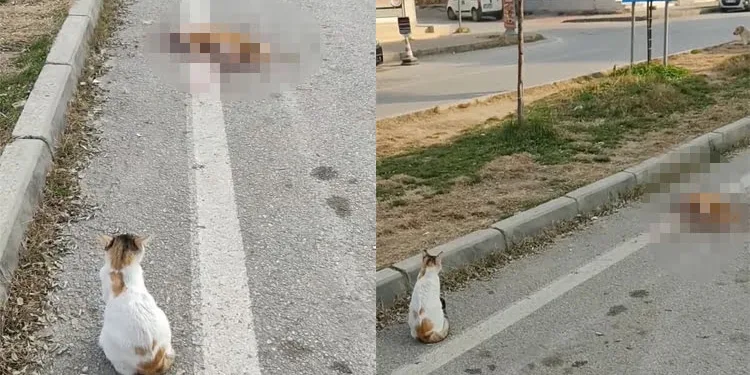 Bursa… Yanından bir an olsun ayrılmadı