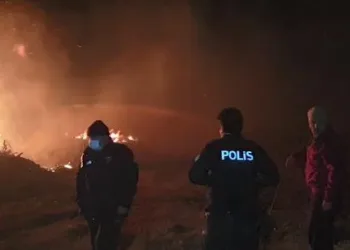 Bursa İznik’te sazlık alanda yangın
