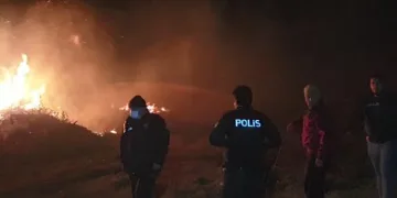 Bursa İznik’te sazlık alanda yangın