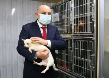 Ankara’da bodrumda bulunan köpeklerin ses tellerinin kesildiği raporla kesinleşti