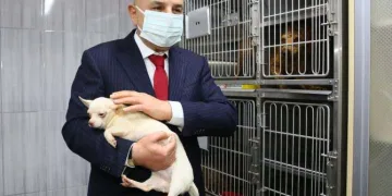 Ankara’da bodrumda bulunan köpeklerin ses tellerinin kesildiği raporla kesinleşti