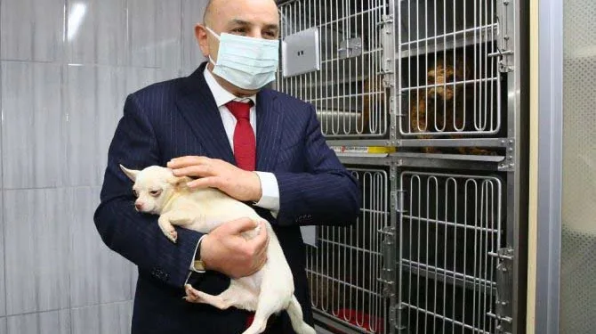 Ankara’da bodrumda bulunan köpeklerin ses tellerinin kesildiği raporla kesinleşti