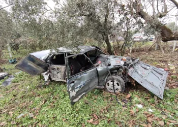 Bursa’da zeytinliğe devrilen otomobil hurdaya döndü