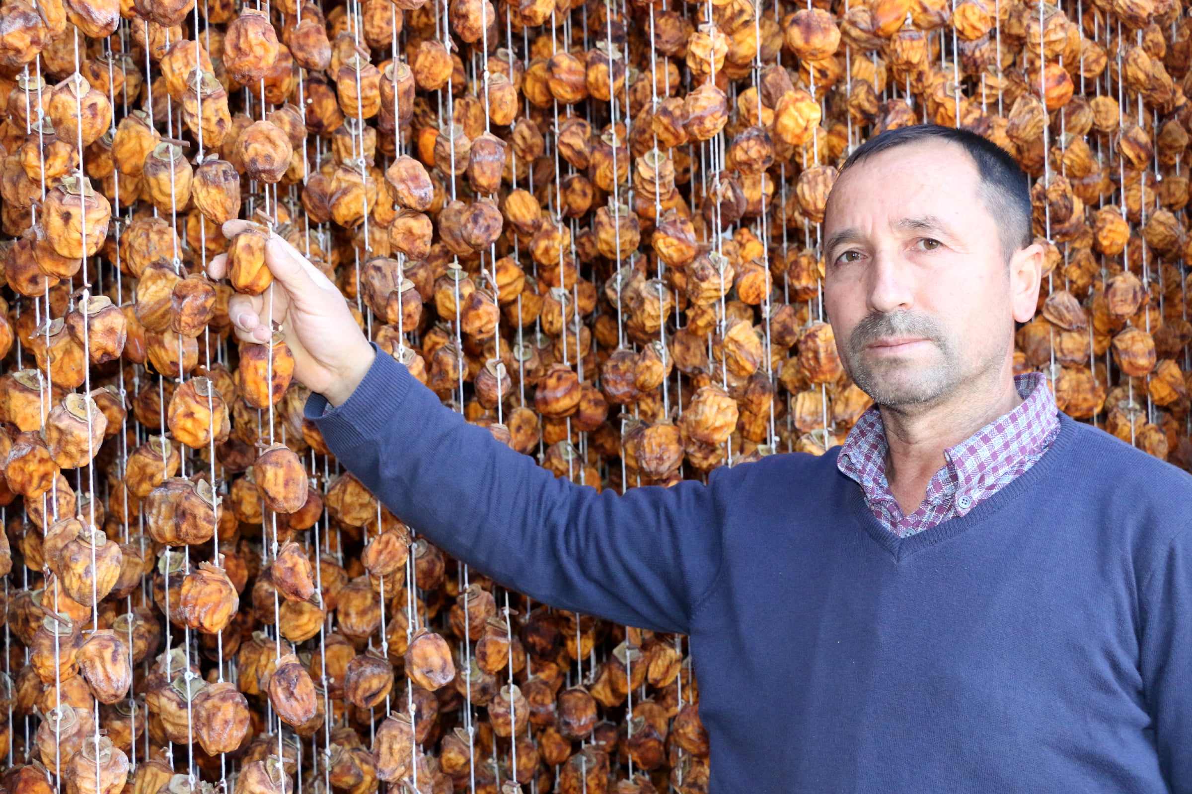 Adana'da 80 ton hurmayı kurutup, satıyor
