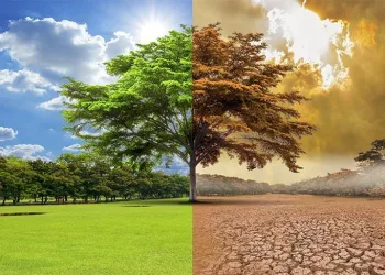 Meteoroloji haritası gerçeği gözler önüne serdi