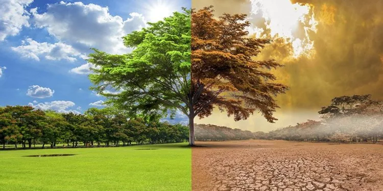 Meteoroloji haritası gerçeği gözler önüne serdi