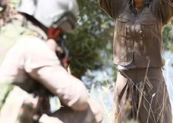5 PKK’lı terörist teslim oldu