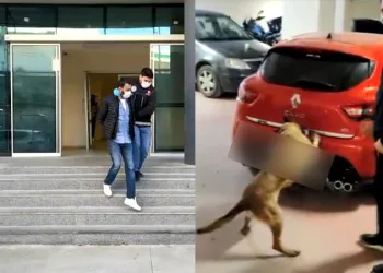 Otomobildeki uyuşturucu zulası Rona’dan kaçamadı
