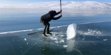 Çıldır Gölü’nde Eskimo usulü balık avı