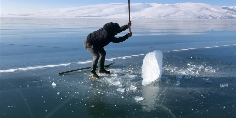Çıldır Gölü’nde Eskimo usulü balık avı