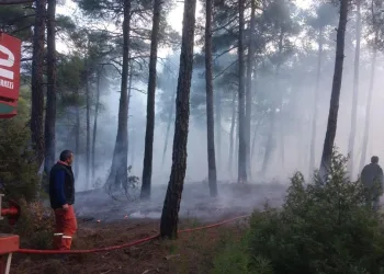 Bursa Orhaneli’de orman yangını!