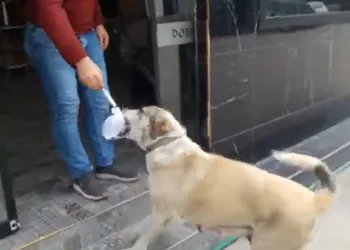 Bursa’da soğuk kış gününde insanın içini ısıtan görüntü