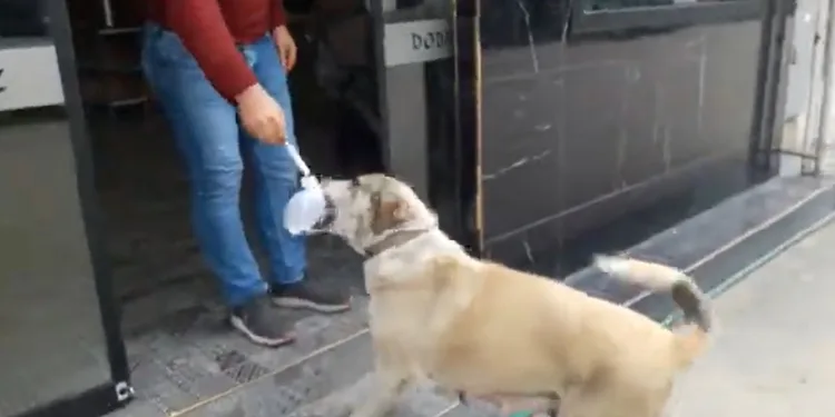 Bursa’da soğuk kış gününde insanın içini ısıtan görüntü