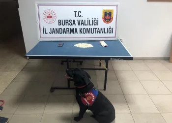Narkotik köpek Takip, gizlenen uyuşturucuları buldu