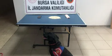 Narkotik köpek Takip, gizlenen uyuşturucuları buldu