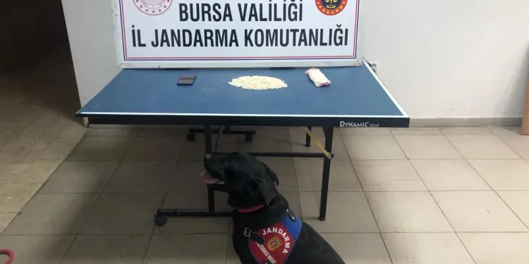 Narkotik köpek Takip, gizlenen uyuşturucuları buldu