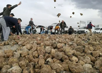 Bursa’da 30 ton pancar yola saçıldı