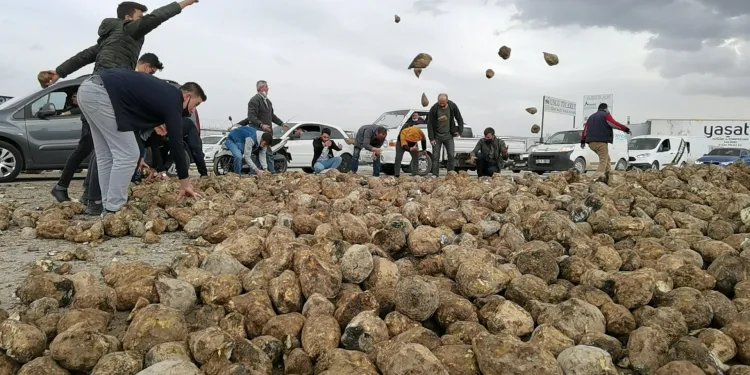 Bursa’da 30 ton pancar yola saçıldı