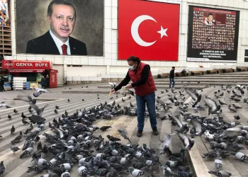 Başkan Cömez kısıtlamada sokak hayvanlarını unutmadı