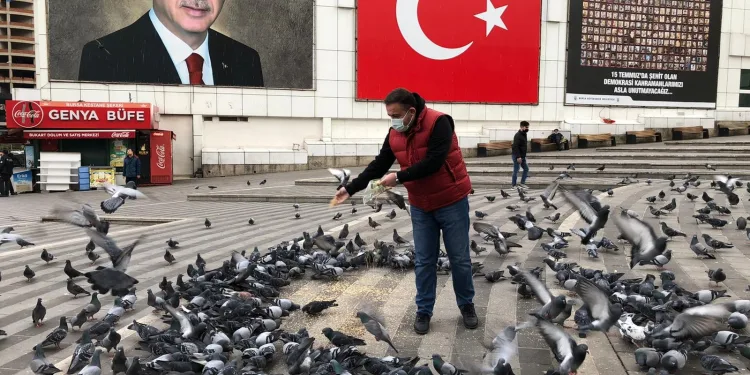 Başkan Cömez kısıtlamada sokak hayvanlarını unutmadı