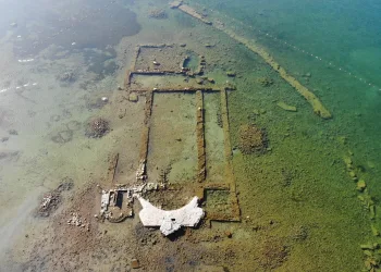 Dünyanın en iyi 10 keşfi arasında… Kuşlara yuva oldu