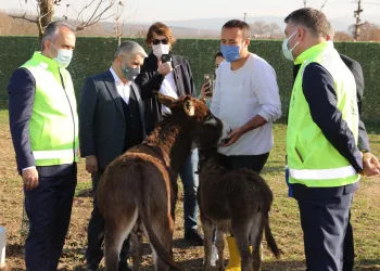 Bursa’nın emekli hayvanlar çiftliği