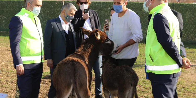 Bursa’nın emekli hayvanlar çiftliği
