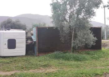 Bursa’da yoldan çıkan kamyon zeytinliğe devrildi