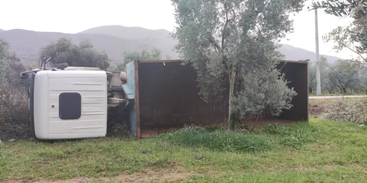 Bursa’da yoldan çıkan kamyon zeytinliğe devrildi