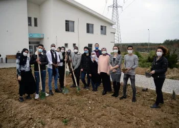 Her fidan farklı bir ülkeyi temsil ediyor