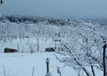 Bursa’nın dağ ilçelerinde kar yağışı başladı