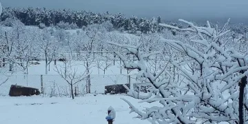 Bursa’nın dağ ilçelerinde kar yağışı başladı