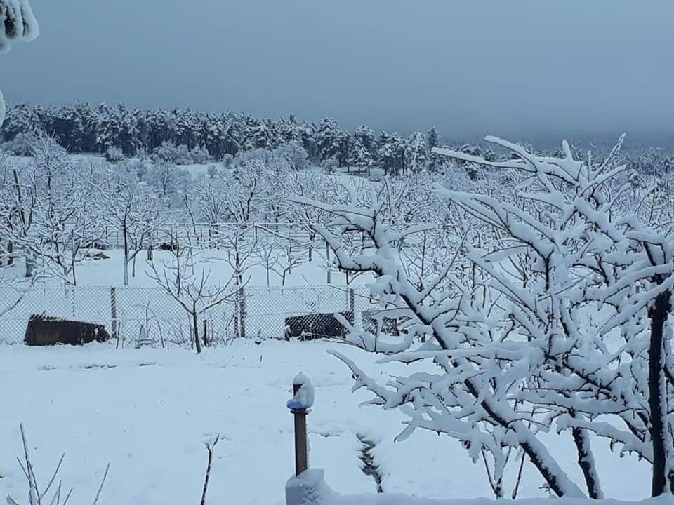 Bursa'nın dağ ilçelerinde kar yağışı başladı