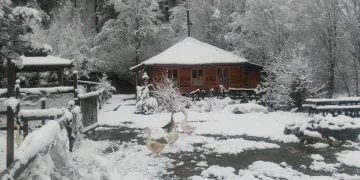 Bursa’da bir ilçe daha beyaza büründü