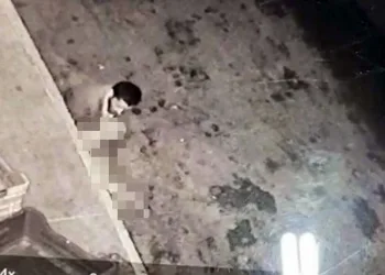 İğrenç olay! Halde köpeğe tecavüz etti