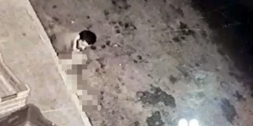 İğrenç olay! Halde köpeğe tecavüz etti