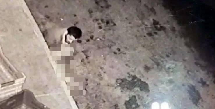 İğrenç olay! Halde köpeğe tecavüz etti