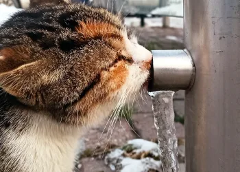 “Onları görmezden gelmeyelim”