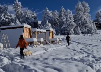 Her şeyi geride bırakıp Uludağ’a yerleştiler