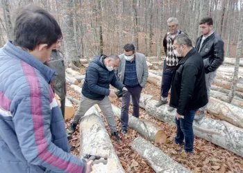 Orman İşletmesi Mustafakemalpaşa’ya nefes oldu