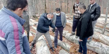 Orman İşletmesi Mustafakemalpaşa’ya nefes oldu