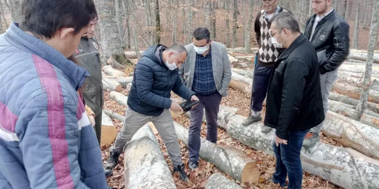 Orman İşletmesi Mustafakemalpaşa’ya nefes oldu