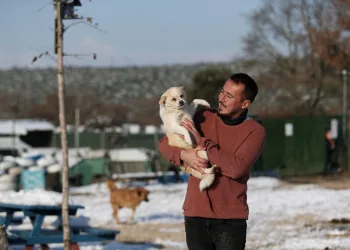 Bursa’da terk edilmiş 500’den fazla köpeğe bakıyor