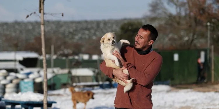 Bursa’da terk edilmiş 500’den fazla köpeğe bakıyor