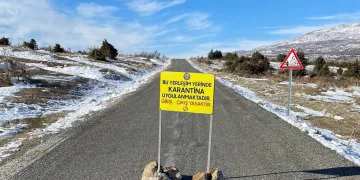 İki ilde daha mutasyonlu virüs tespit edildi